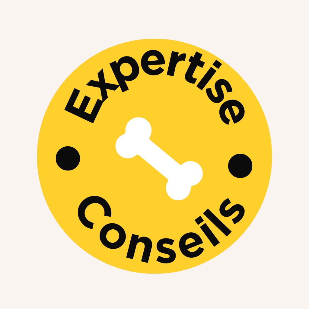 Expertise et conseils de l'équipe Wyatt Toys sur les jouets pour chiens, chats et NAC