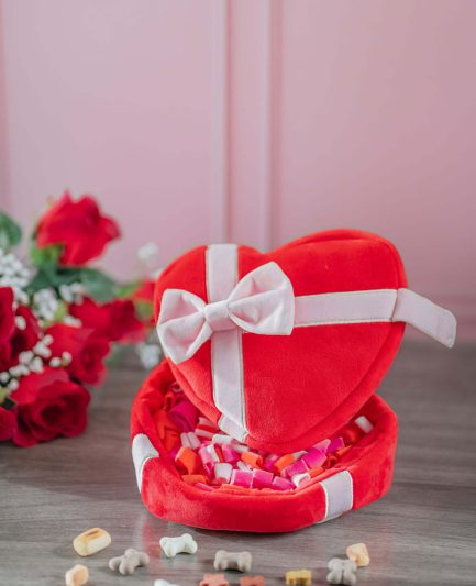 Jouet interactif peluche cœur avec biscuits cachés – une surprise parfaite pour la Saint-Valentin de votre chien !