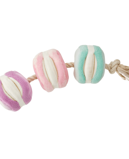 Un chien joyeux explore un jouet interactif pour chien Macarons, un jouet conçu pour cacher des friandises et stimuler son flair. Il pousse délicatement le jouet avec son museau, cherchant sa récompense avec enthousiasme.