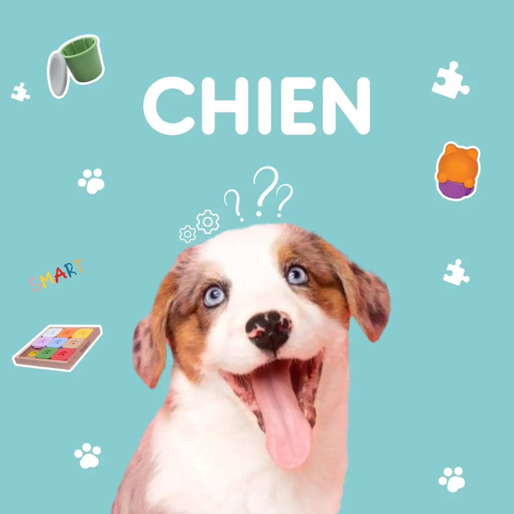 jouets-chiens-wyatt-toys