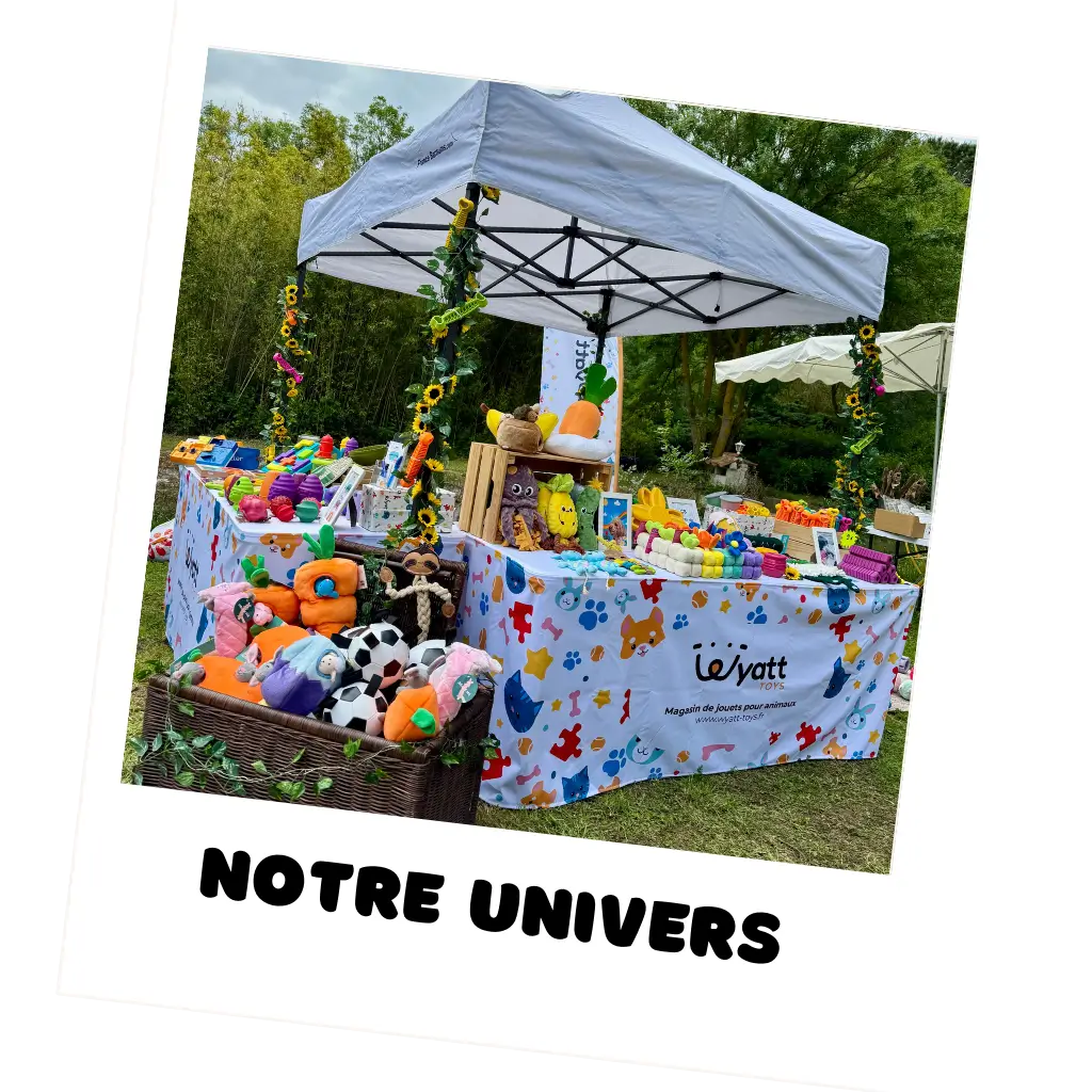 stand de jouets pour chiens coloré de la marque Wyatt Toys